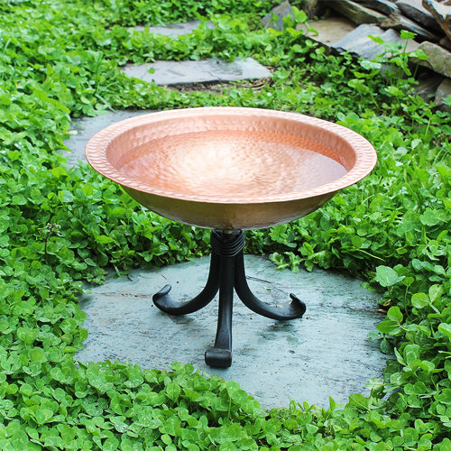 Wayfair Black Bird Baths You'll Love in 2023